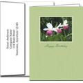 Birthday Greeting Cards w/Imprinted Envelopes